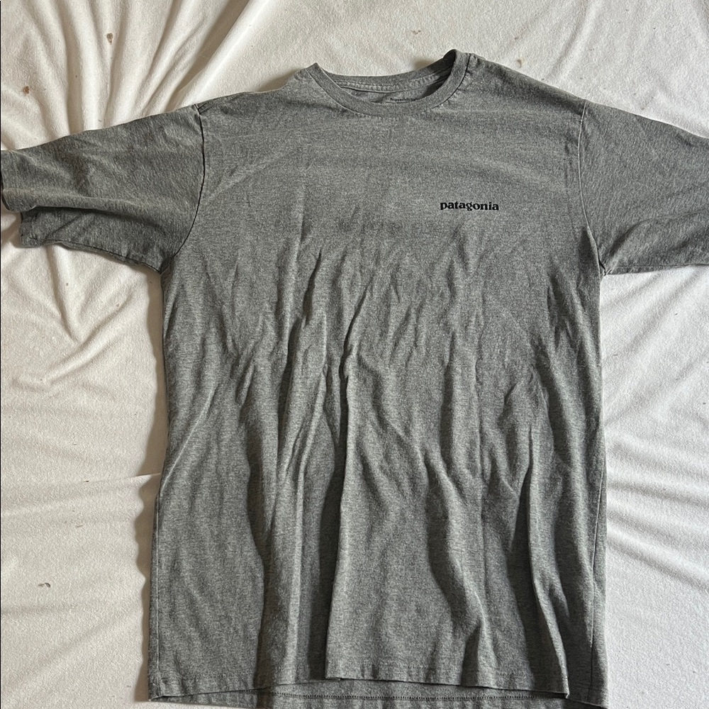 Patagonia Men's Heather Gray Short Sleeve Tee